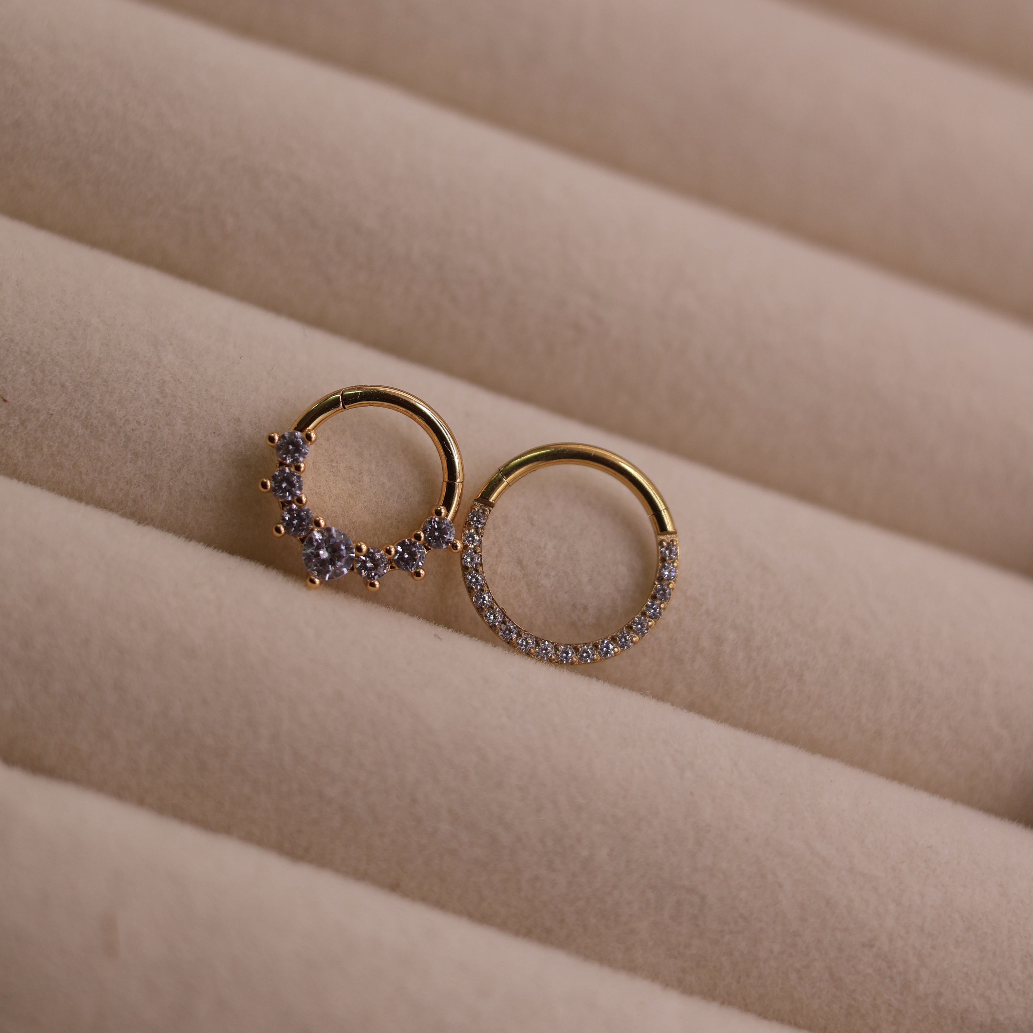 Septum y Daith Titanio